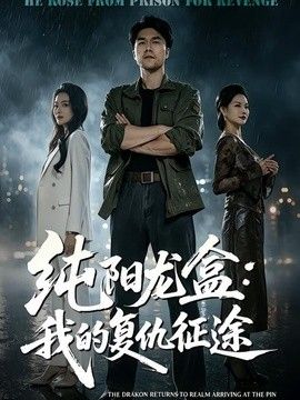 純陽(yáng)龍盒:我的復(fù)仇征途海報(bào)